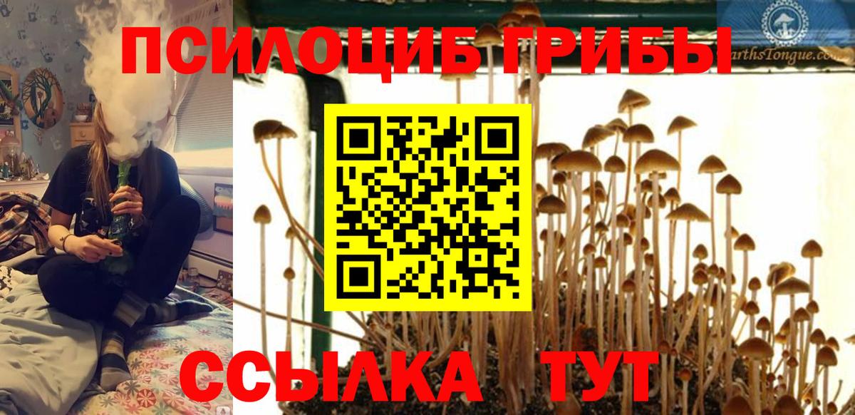 Псилоцибиновые грибы GOLDEN TEACHER Менделеевск