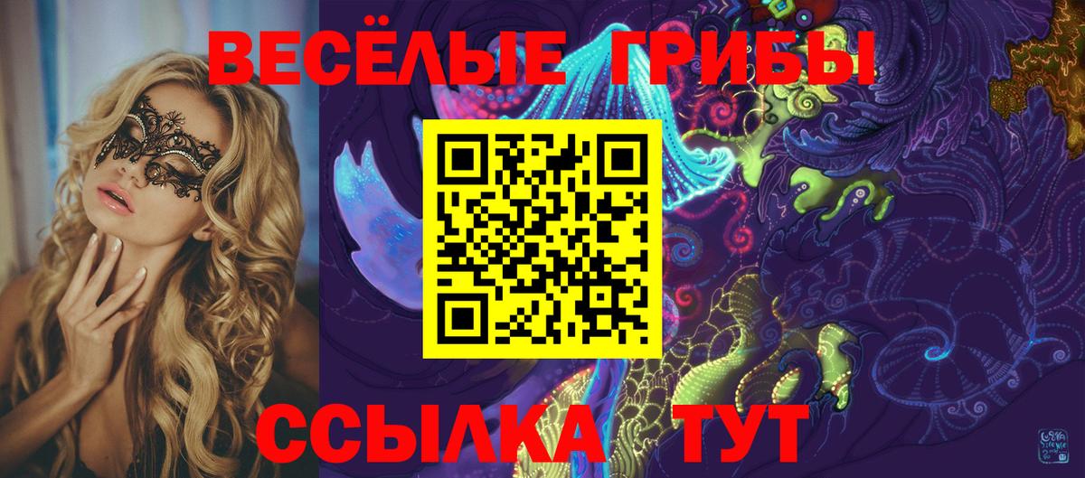 Менделеевск  Галлюциногенные грибы Psilocybe  Вход с VPN 